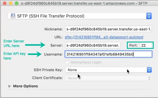 add_url_api_to_client2.jpg
