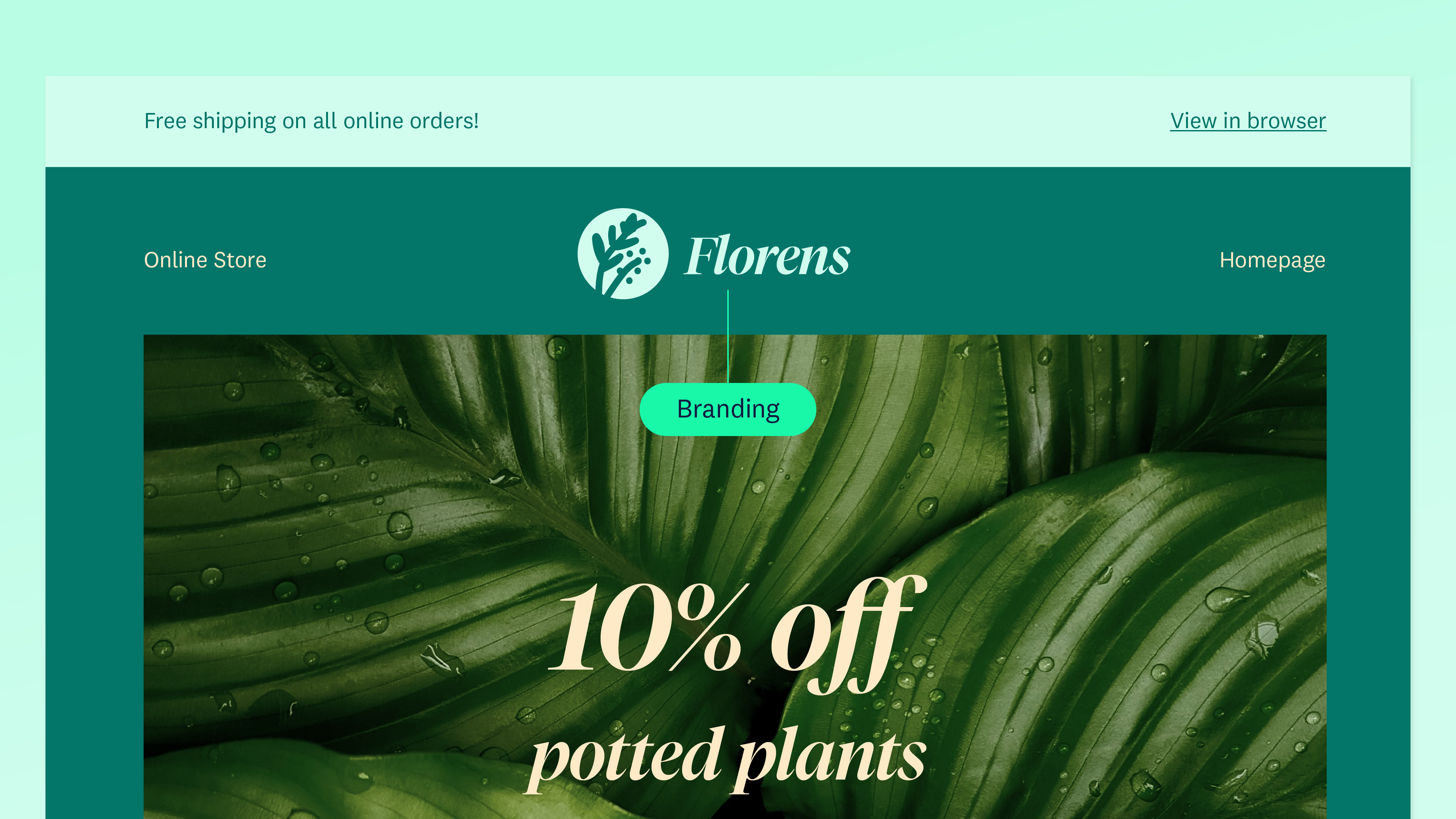 ElementsofaEmail_Branding__2x.png
